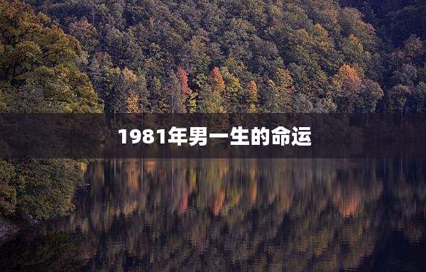 1981年男一生的命运