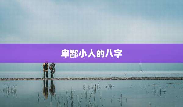 卑鄙小人的八字