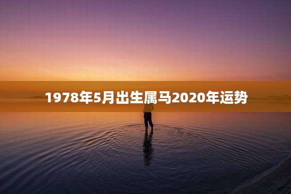 1978年5月出生属马2020年运势
