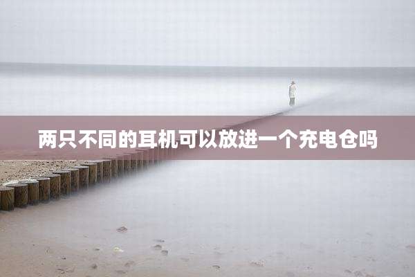 两只不同的耳机可以放进一个充电仓吗