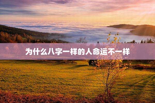 为什么八字一样的人命运不一样