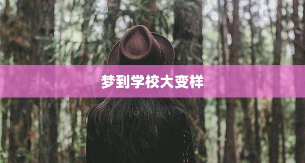 梦到学校大变样