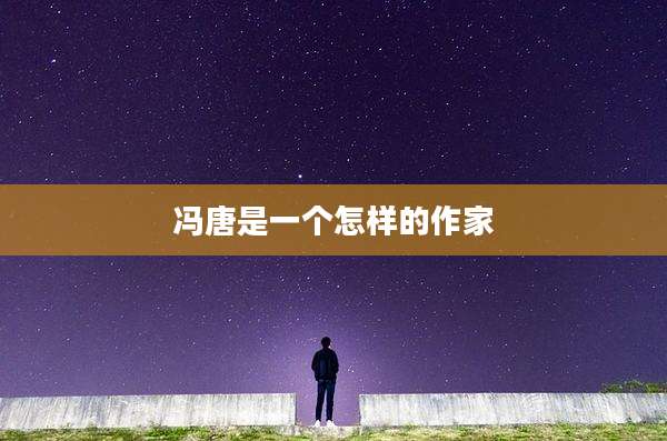 冯唐是一个怎样的作家