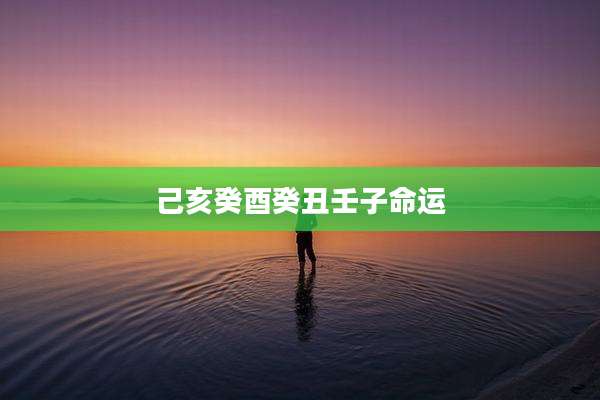己亥癸酉癸丑壬子命运