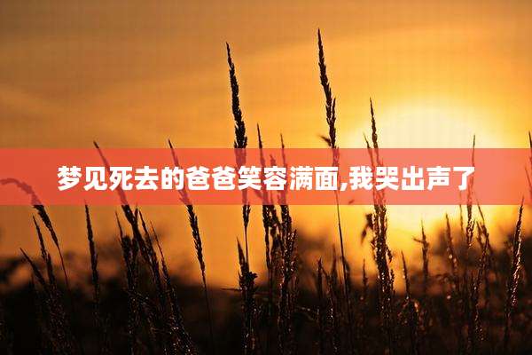 梦见死去的爸爸笑容满面,我哭出声了