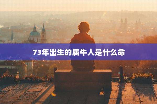 73年出生的属牛人是什么命