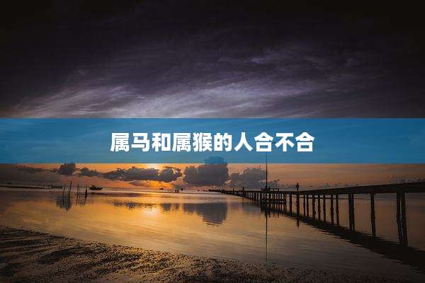 属马和属猴的人合不合