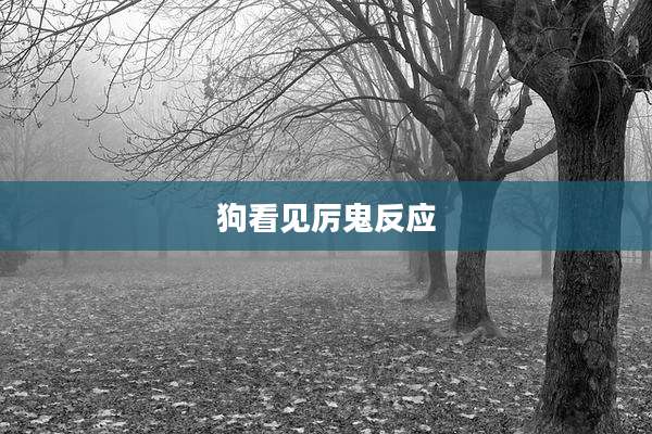 狗看见厉鬼反应