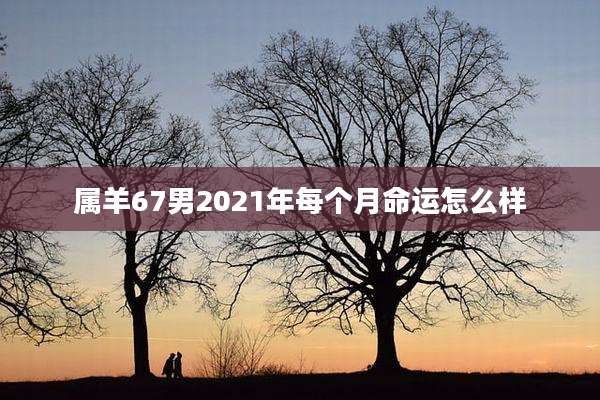 属羊67男2021年每个月命运怎么样