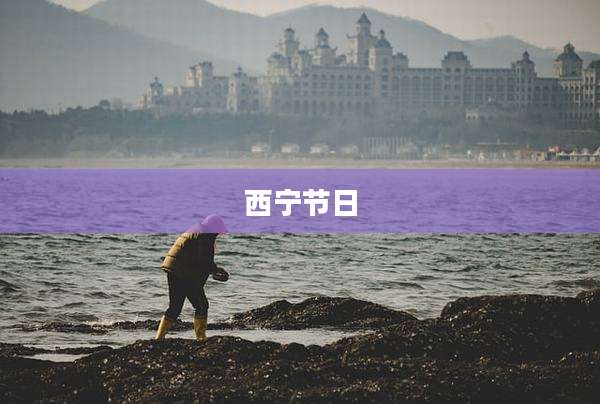西宁节日