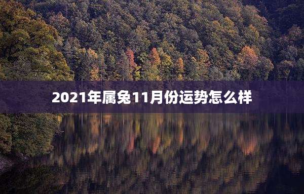 2021年属兔11月份运势怎么样