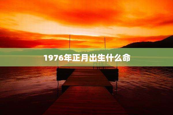 1976年正月出生什么命