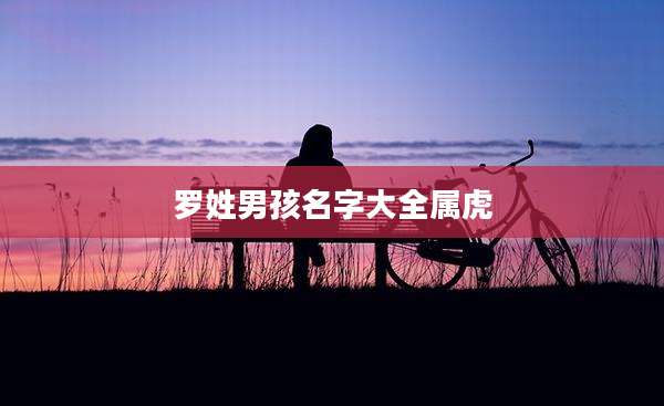罗姓男孩名字大全属虎