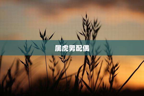 属虎男配偶