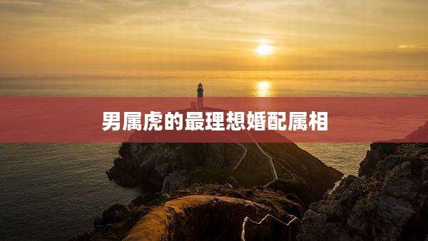 男属虎的最理想婚配属相