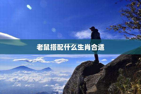 老鼠搭配什么生肖合适