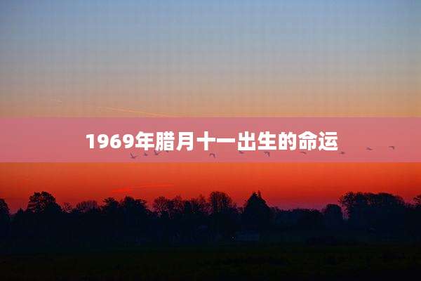 1969年腊月十一出生的命运