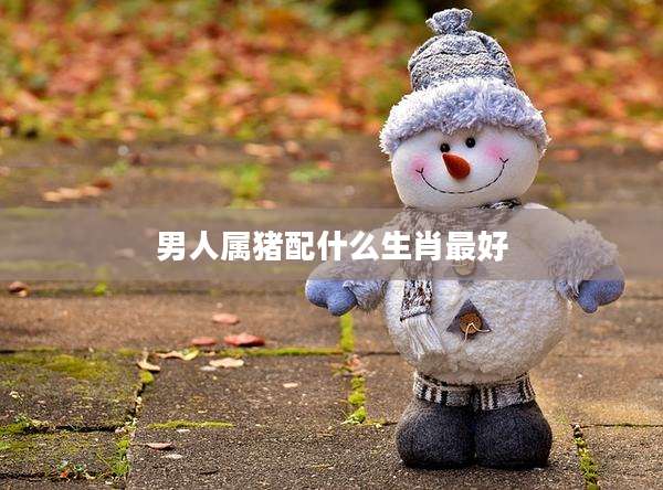 男人属猪配什么生肖最好