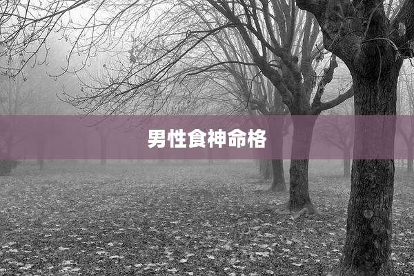 男性食神命格