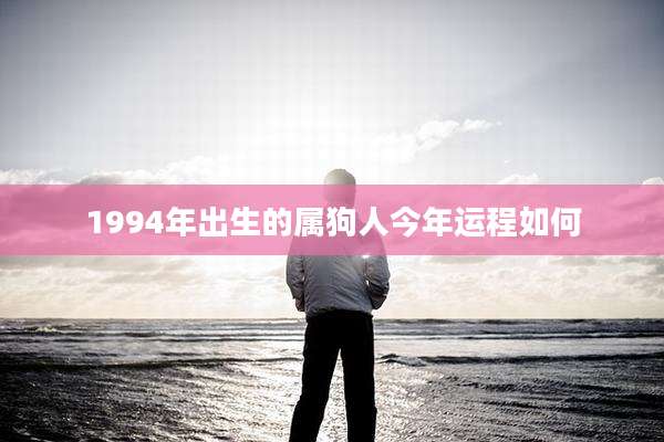 1994年出生的属狗人今年运程如何