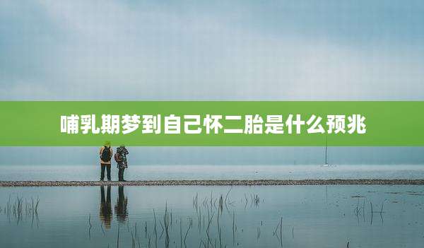 哺乳期梦到自己怀二胎是什么预兆