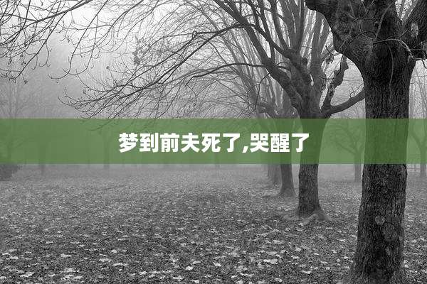 梦到前夫死了,哭醒了