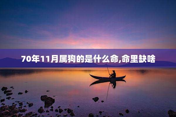 70年11月属狗的是什么命,命里缺啥