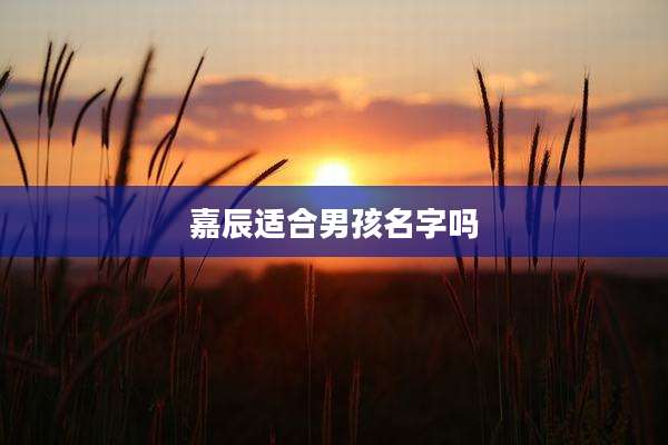 嘉辰适合男孩名字吗