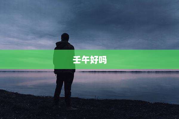 壬午好吗