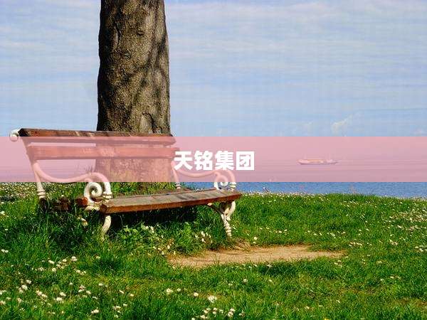 天铭集团