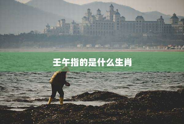 壬午指的是什么生肖