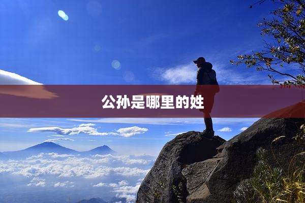 公孙是哪里的姓