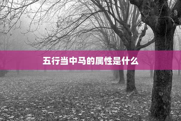 五行当中马的属性是什么
