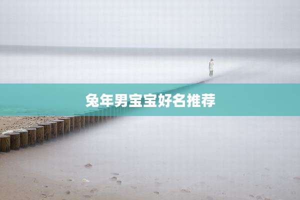 兔年男宝宝好名推荐