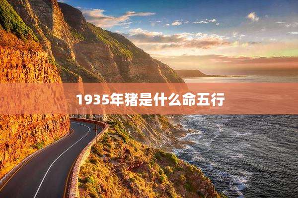1935年猪是什么命五行