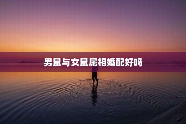 男鼠与女鼠属相婚配好吗