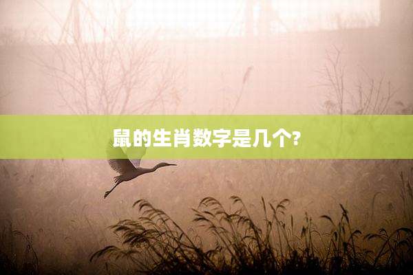 鼠的生肖数字是几个?
