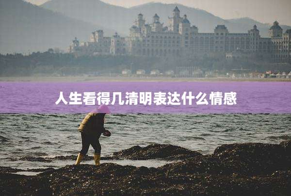 人生看得几清明表达什么情感