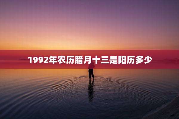 1992年农历腊月十三是阳历多少