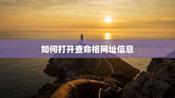 如何打开查命格网址信息