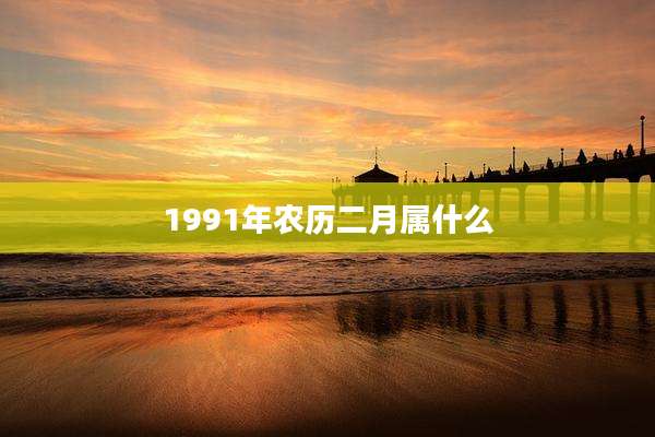 1991年农历二月属什么