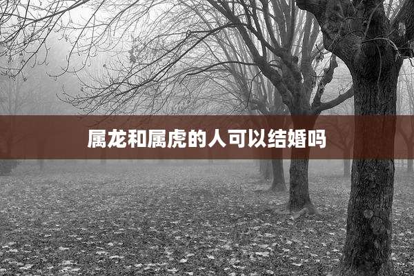 属龙和属虎的人可以结婚吗