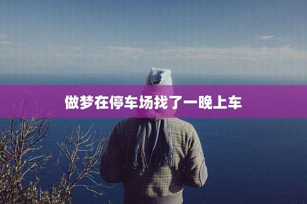 做梦在停车场找了一晚上车