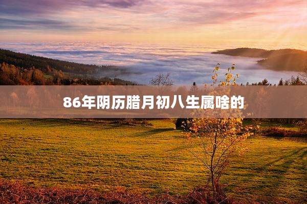86年阴历腊月初八生属啥的
