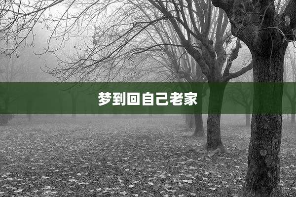 梦到回自己老家
