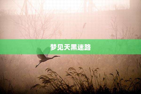 梦见天黑迷路