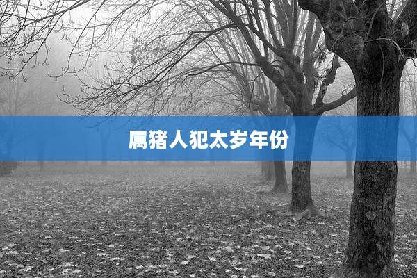 属猪人犯太岁年份