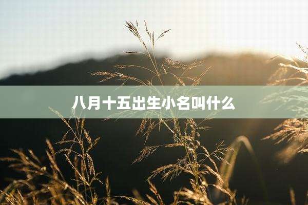 八月十五出生小名叫什么