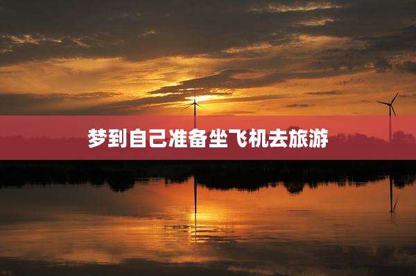梦到自己准备坐飞机去旅游