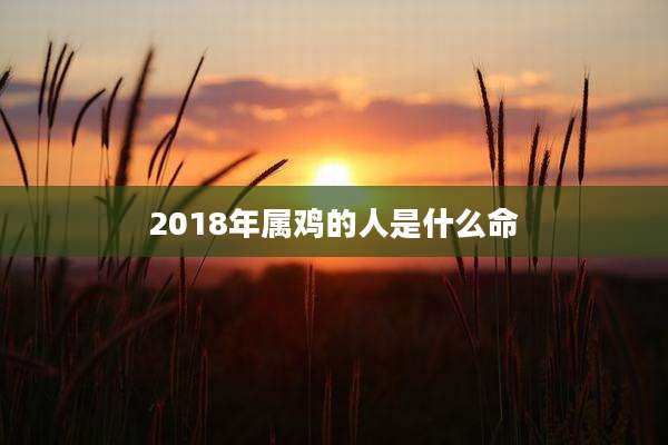 2018年属鸡的人是什么命